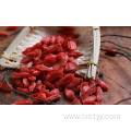 dried goji berries fruit